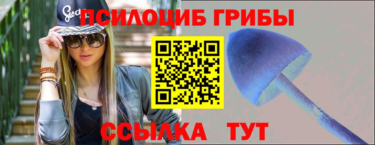 Галлюциногенные грибы Magic Shrooms Лыткарино