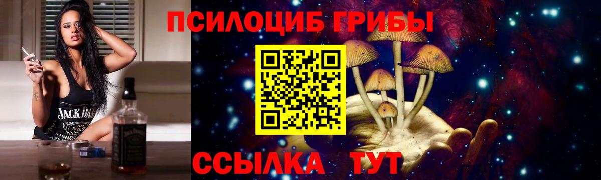 Лыткарино  Псилоцибиновые грибы GOLDEN TEACHER  Вход с VPN 